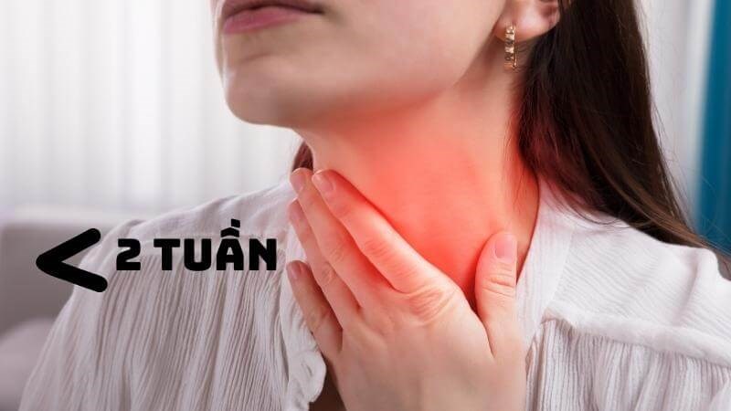 Hình ảnh viêm họng hạt trắng