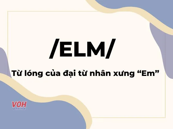 Elm là gì? Cùng giải mã hot trend nghe lạ mà quen