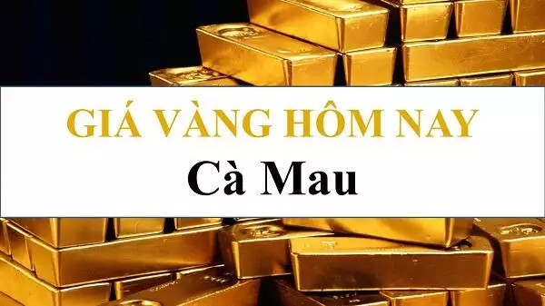 Giá vàng 24k, Giá vàng tây hội kim hoàn Cà Mau hôm nay 14/11/2024